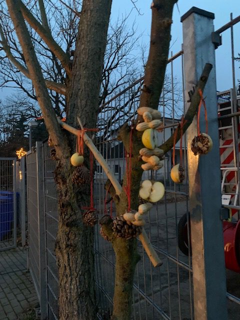 gebasteltes Vogelfutter am Baum