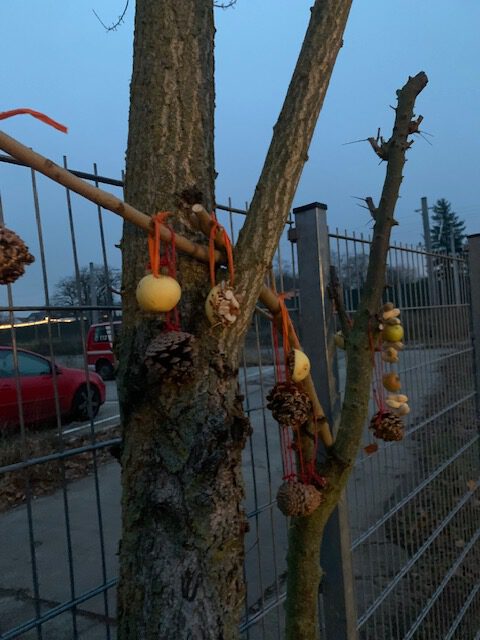gebasteltes Vogelfutter am Baum